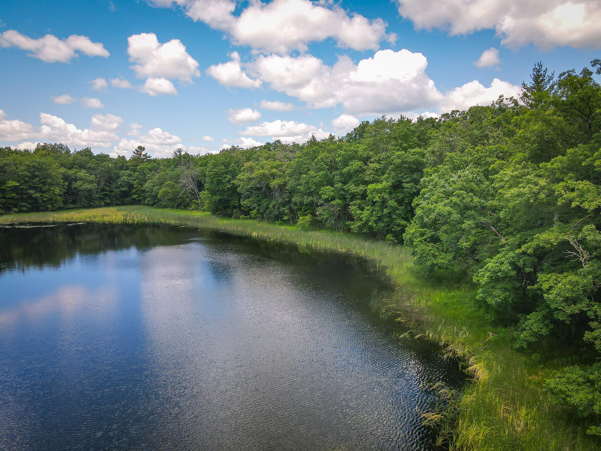 9339 Maple Hill Road Howard City, MI 49329 - Photo 37 of 42 DJI_0991