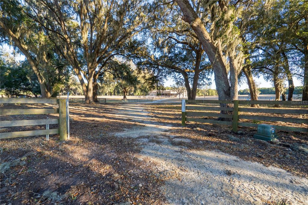 2051 Southeast 155th Street Summerfield, FL 34491 - Photo 18 of 48 a view of park space