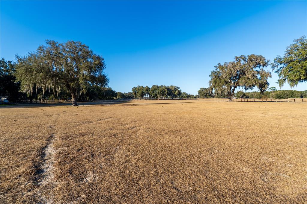 2051 Southeast 155th Street Summerfield, FL 34491 - Photo 45 of 48 a view of yard with ocean view