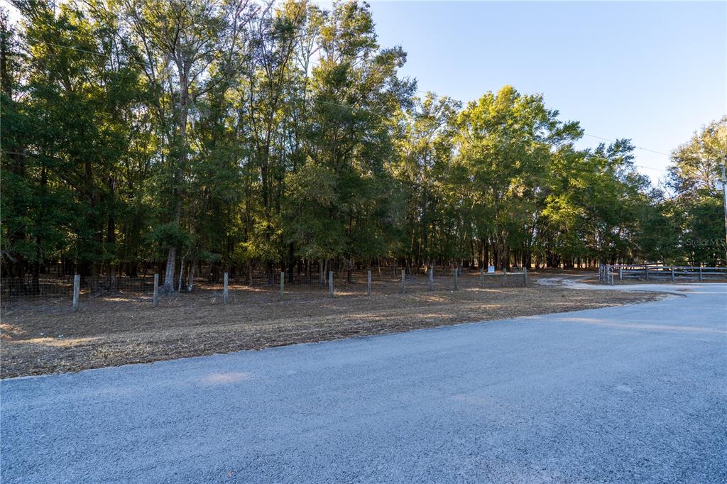 2051 Southeast 155th Street Summerfield, FL 34491 - Photo 47 of 48 a view of a outdoor space with trees