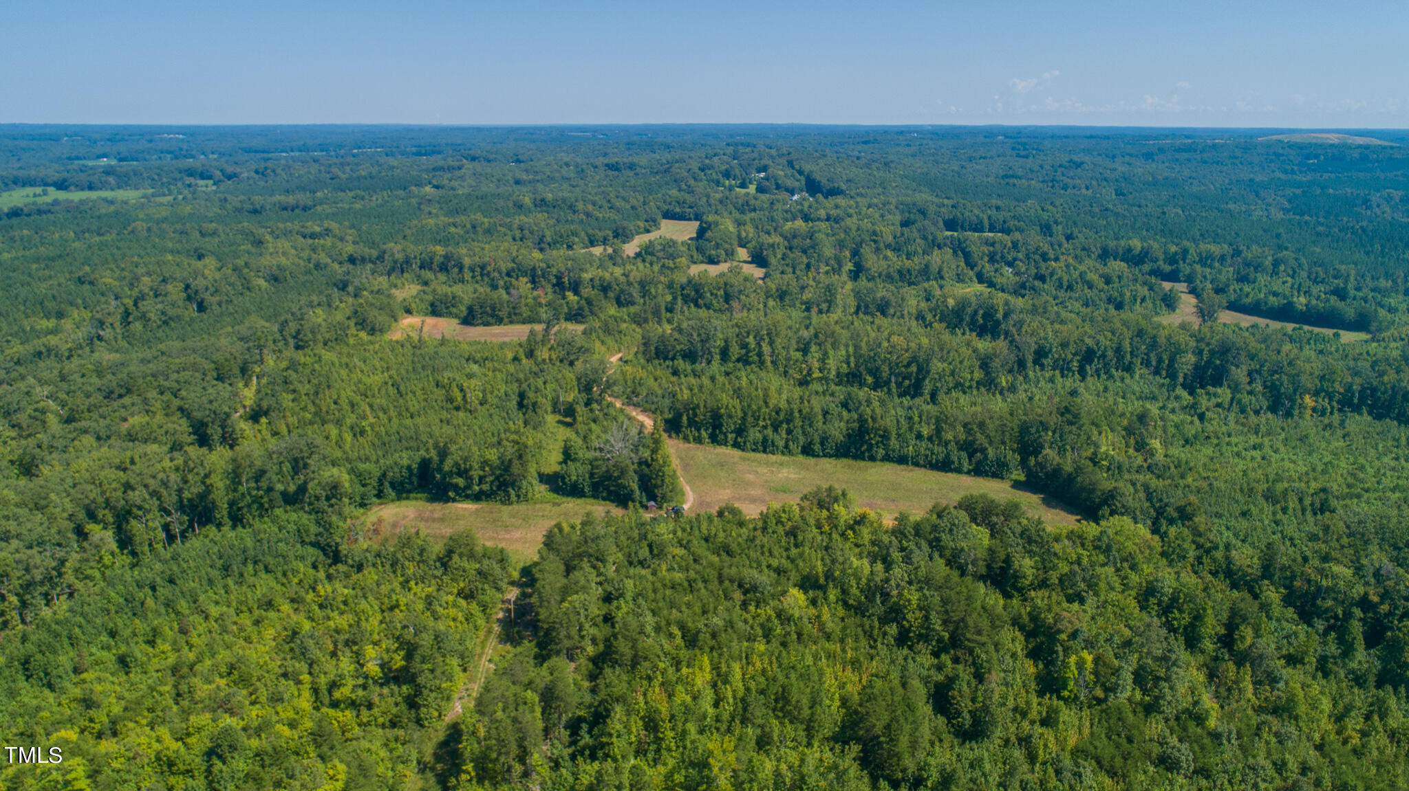 121-acres Medford Oakley Road Rougemont, NC 27572 - Photo 9 of 14 DJI_0286