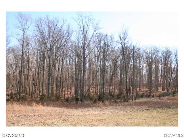 1 Cartersville Road Cartersville, VA 23027 - Photo 1 of 5 Land
