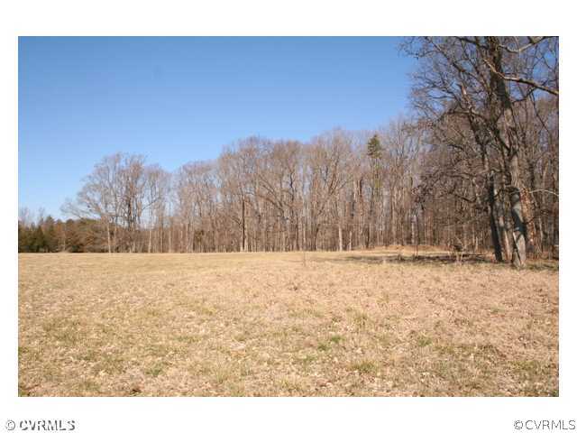 1 Cartersville Road Cartersville, VA 23027 - Photo 3 of 5 Land