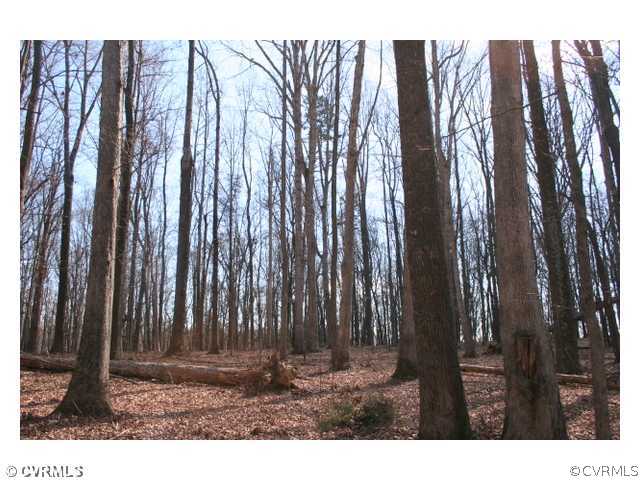1 Cartersville Road Cartersville, VA 23027 - Photo 4 of 5 Land