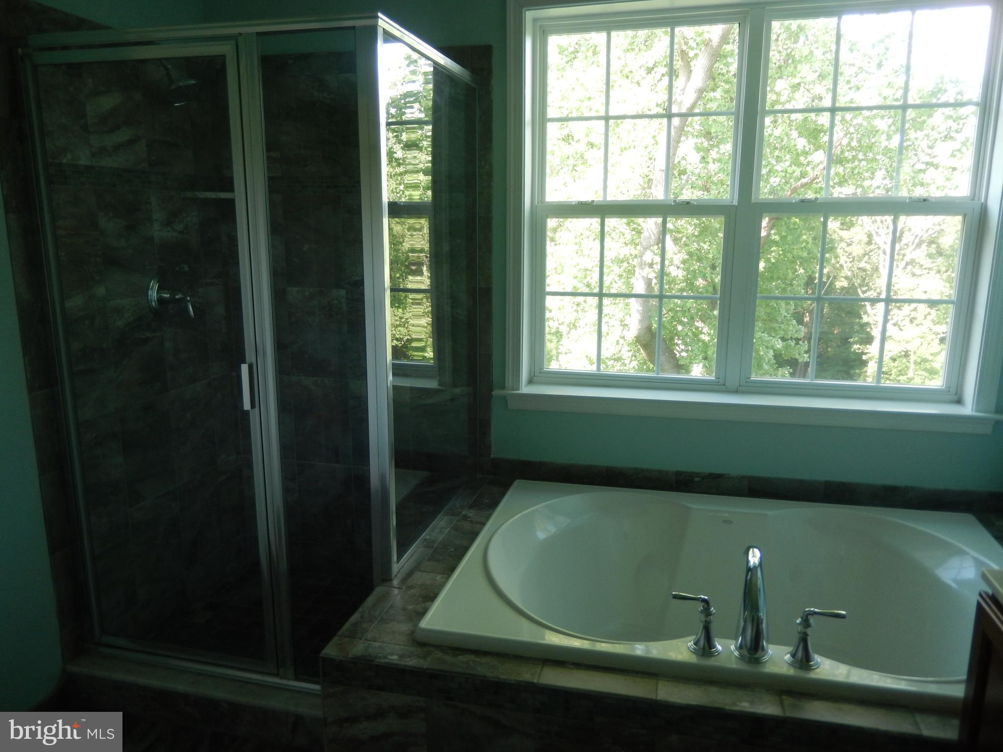307 Corvus Circle Springfield, PA 19064 - Photo 40 of 49 Main Bathroom