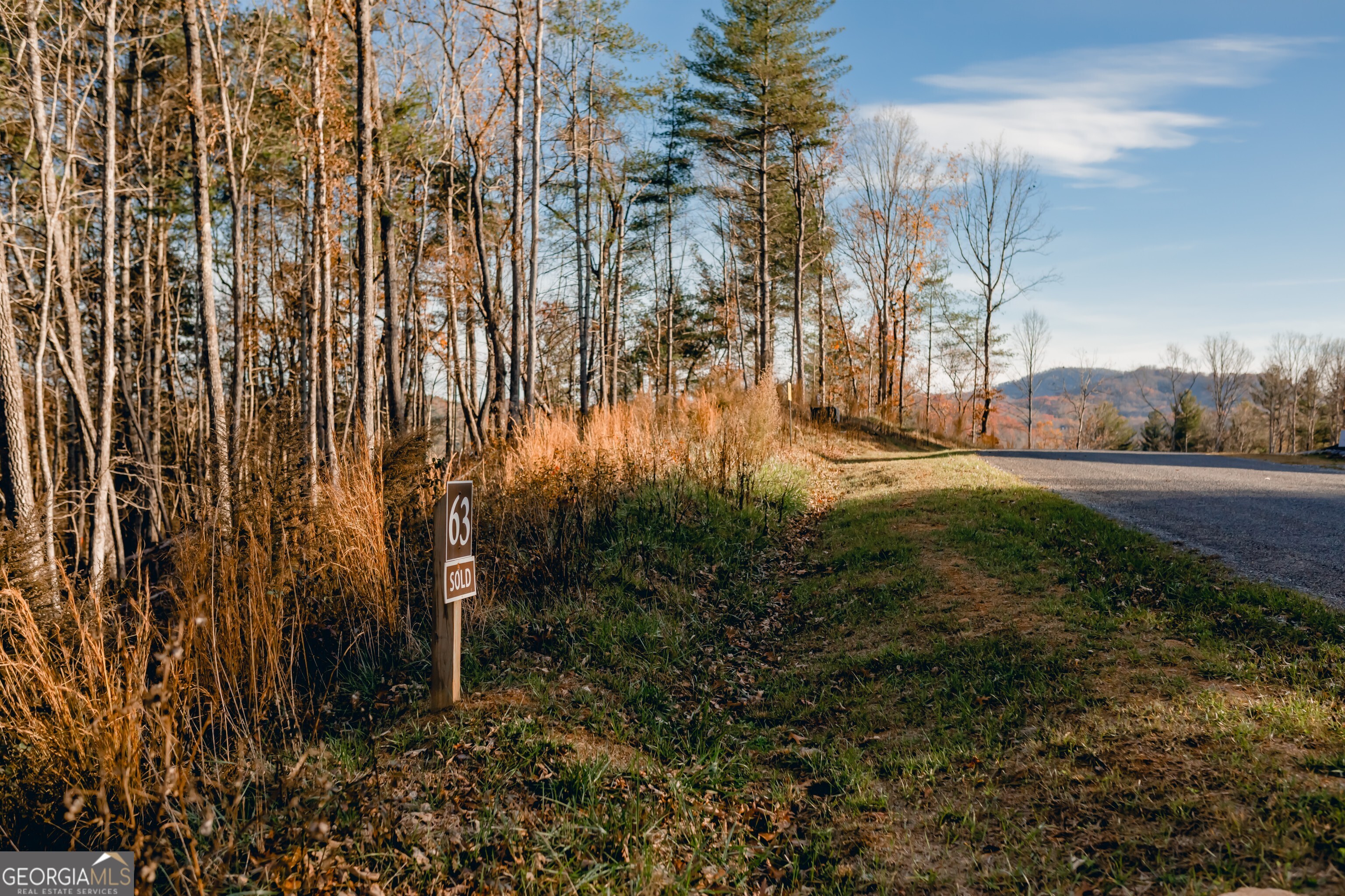 63 Ridges Of Blue Ridge Morganton, GA 30560 - Photo 1 of 1 Gallery Image 1