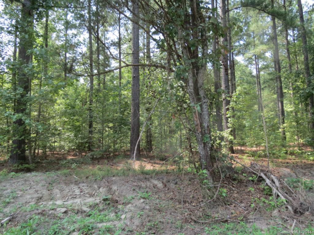 1 Griggs Road Clover, SC 29710 - Photo 6 of 13