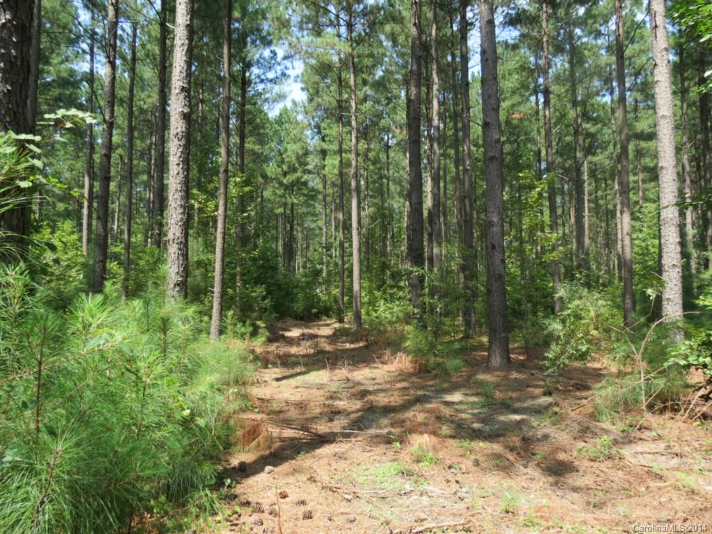 1 Griggs Road Clover, SC 29710 - Photo 8 of 13