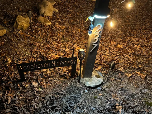 a view of a park with large trees