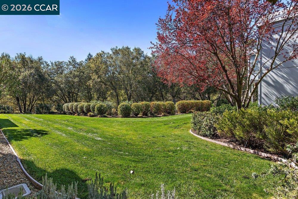 2057 Golden Rain Road, Unit 8 Walnut Creek, CA 94595 - Photo 9 of 60 a view of a garden