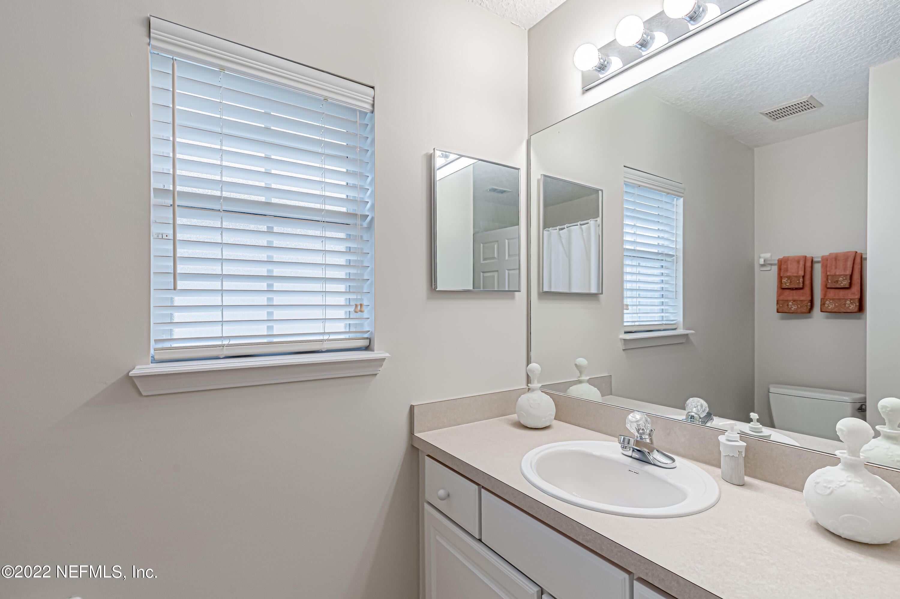 124 Dragonfly Drive Jacksonville, FL 32259 - Photo 31 of 40 a bathroom with a sink vanity and a mirror