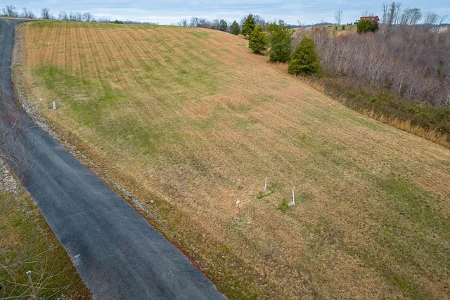 a view of a lake with a mountain in the background