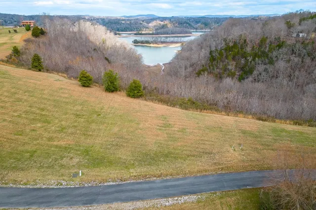a view of a lake from a yard
