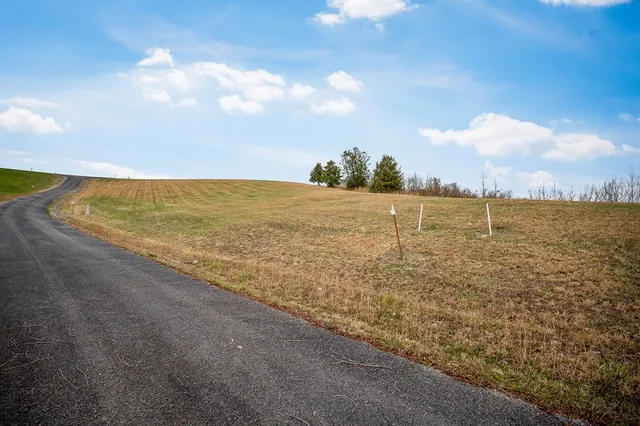 a view of a lake with a yard and mountain in the background