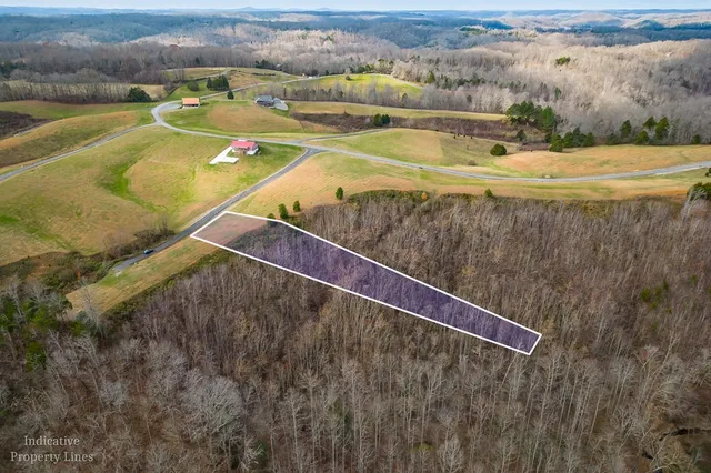 a view of a swimming pool with a lake view