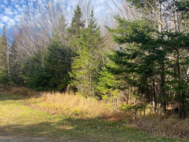 $75,000 | Lot 16 Bear Track Lane, Rockwood, ME 04478