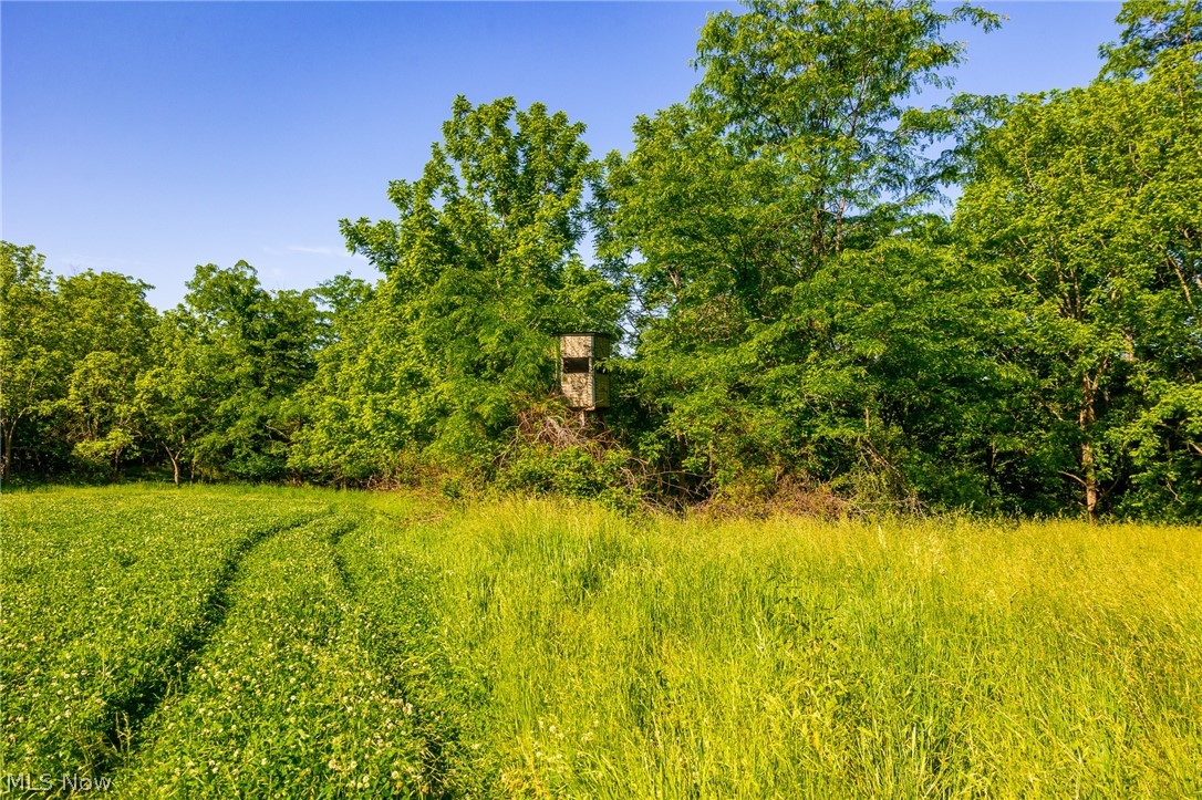 12680 Old Riley Road, Unit 5 Frazeysburg, OH 43822 - Photo 10 of 44