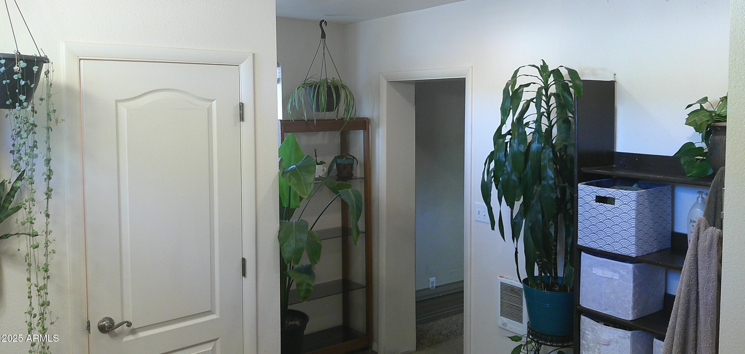 44 South 3rd Street West Snowflake, AZ 85937 - Photo 36 of 70 a close view of walk in closet