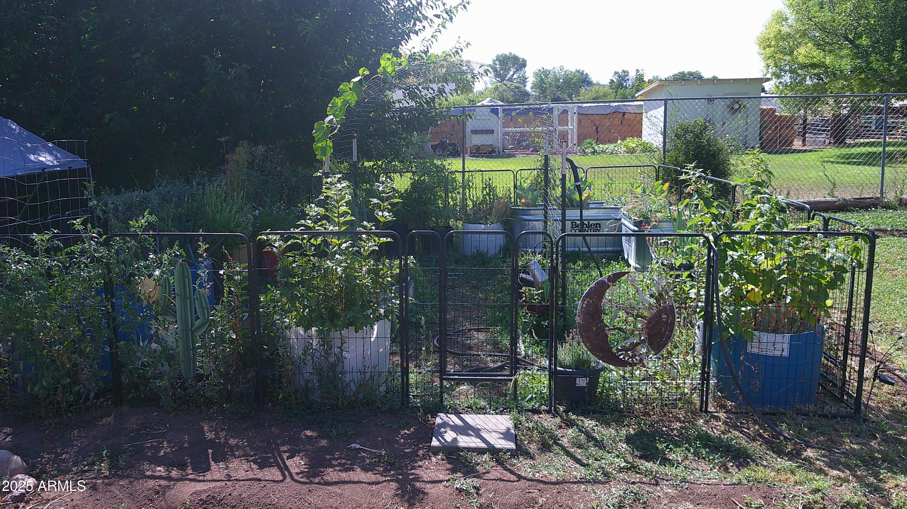 44 South 3rd Street West Snowflake, AZ 85937 - Photo 59 of 70 Garden