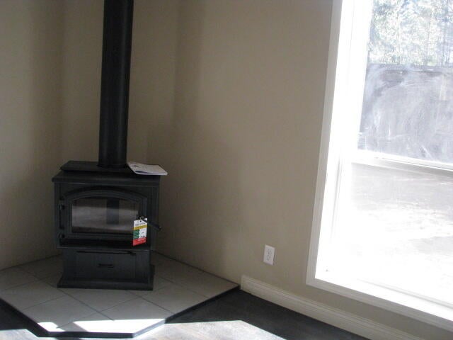 Wood stove