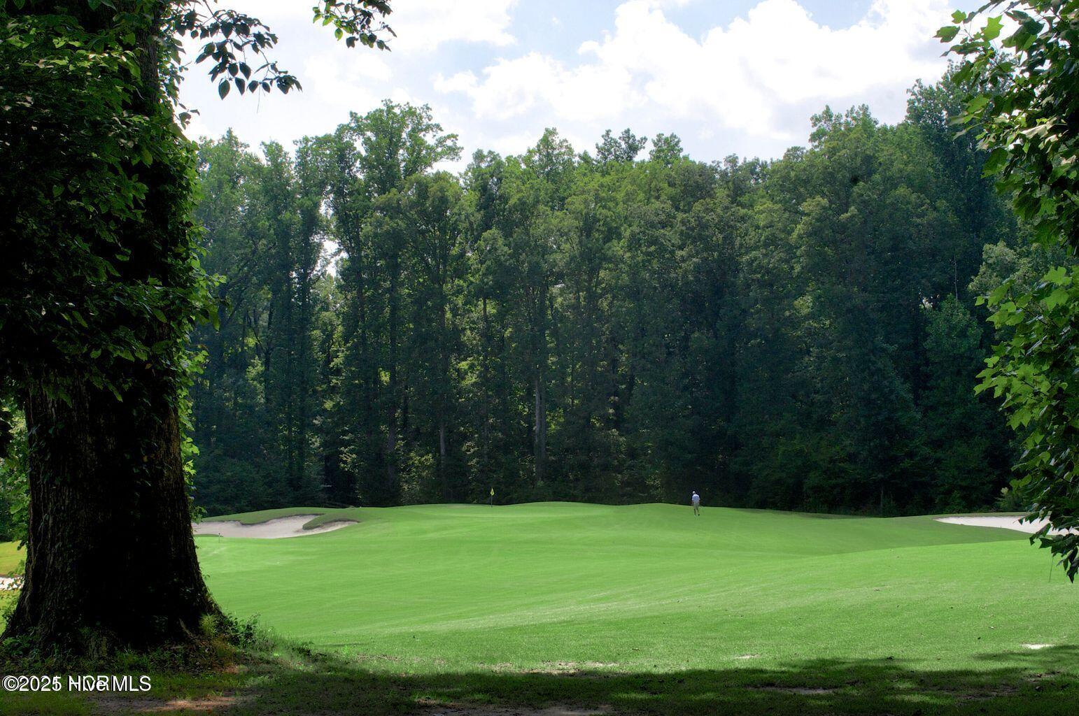232 Aberdeen Rocky Mount, NC 27804 - Photo 6 of 28 Golf year round!