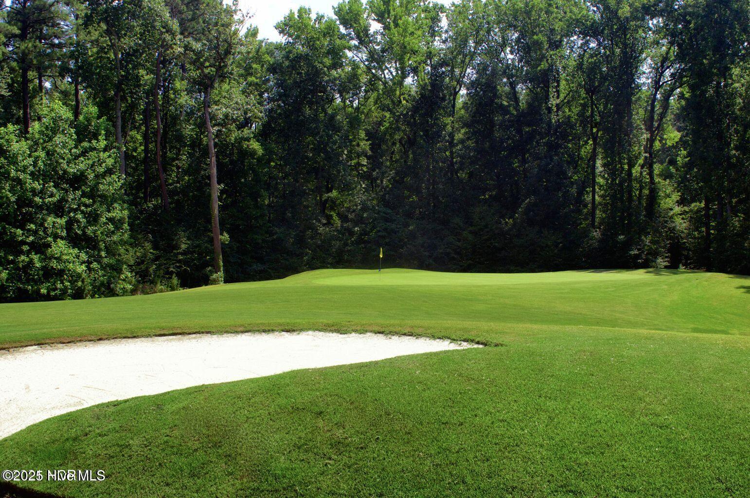 232 Aberdeen Rocky Mount, NC 27804 - Photo 7 of 28 18-hole championship golf course