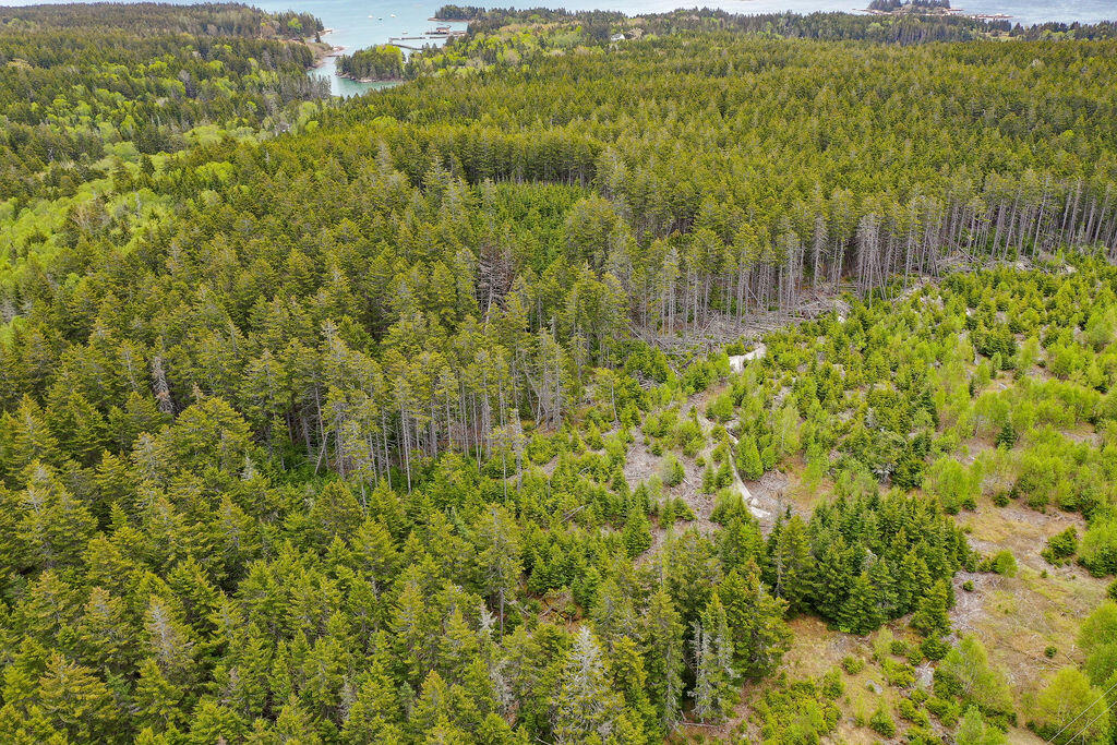22-2 Eaton Point Road Deer Isle, ME 04627 - Photo 20 of 26 Eaton Point Land