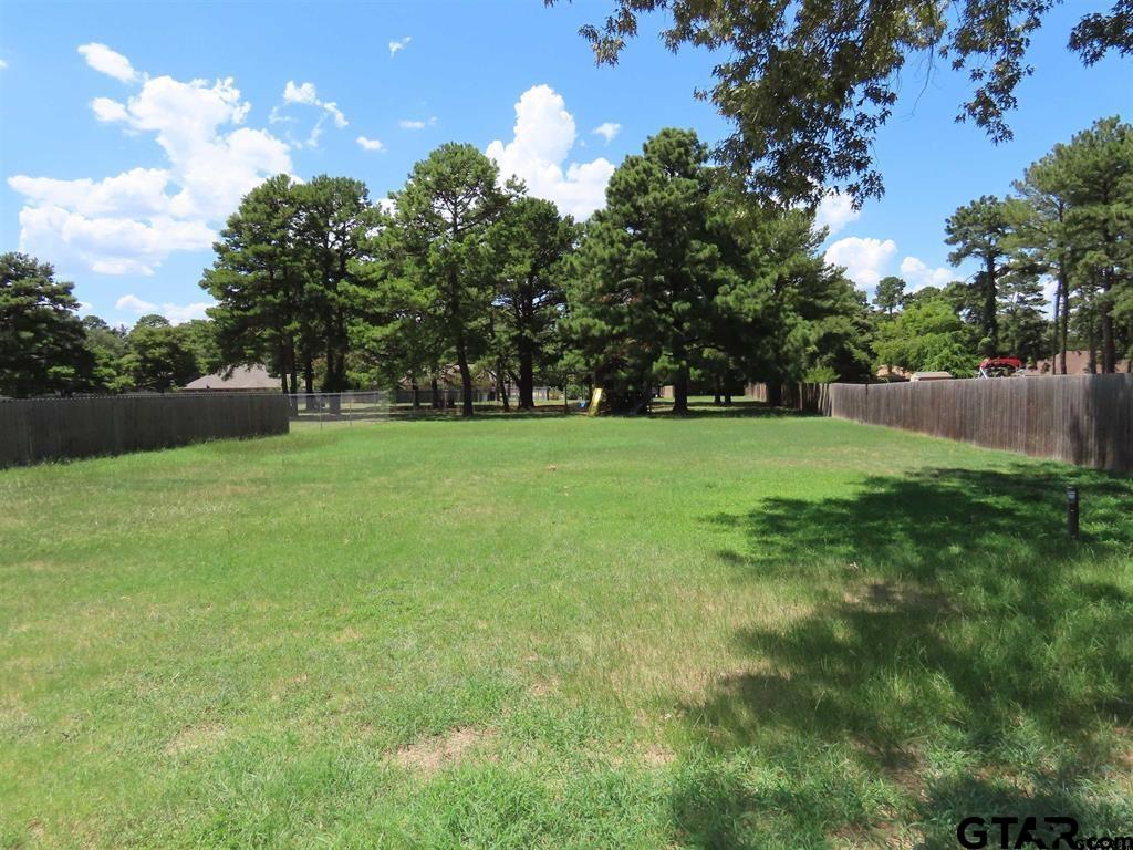 21206 Altuda Lane Flint, TX 75762 - Photo 13 of 13 a backyard of a house with lots of green space