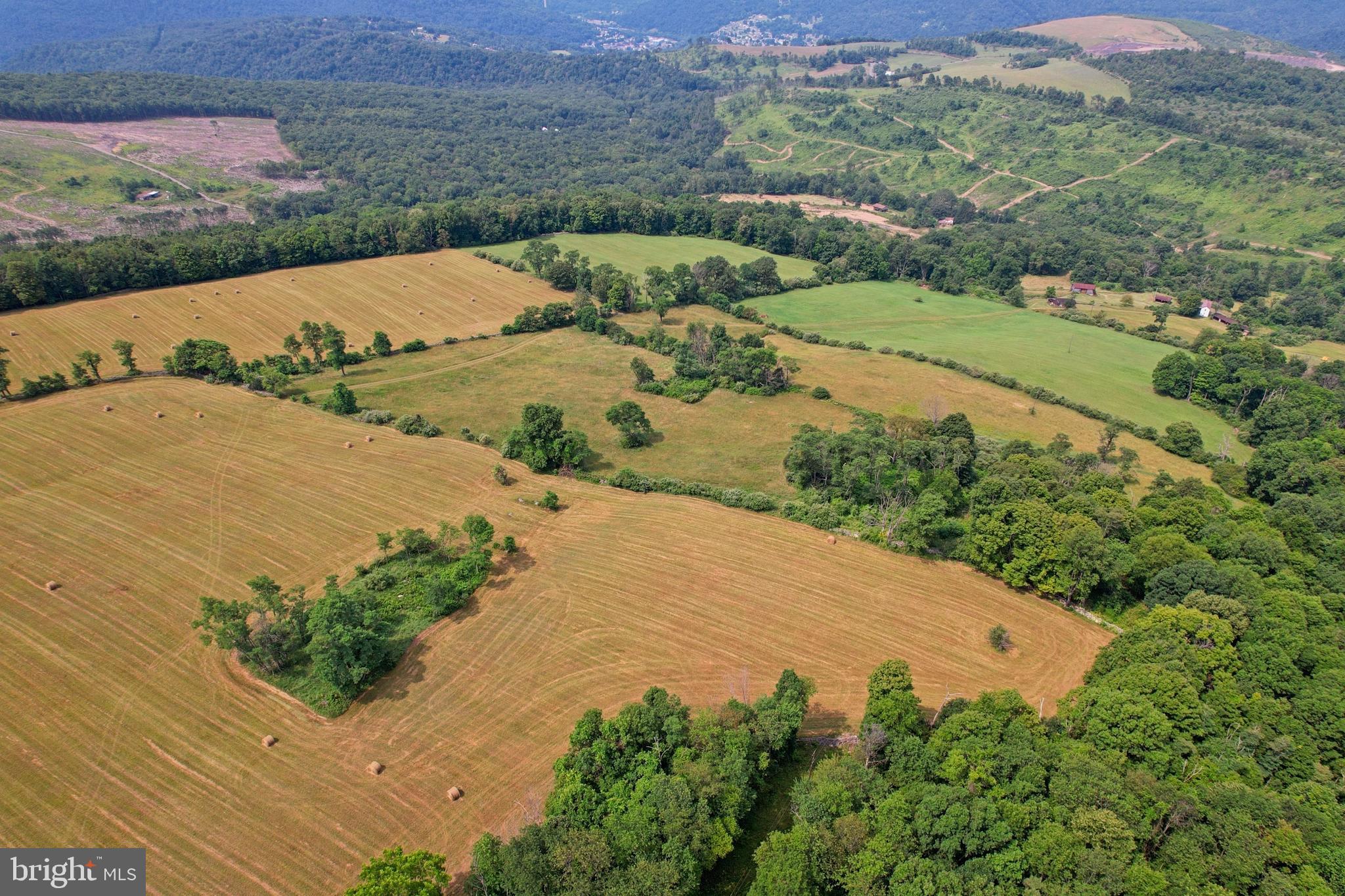 Logged area to the left is a neighbor's property.