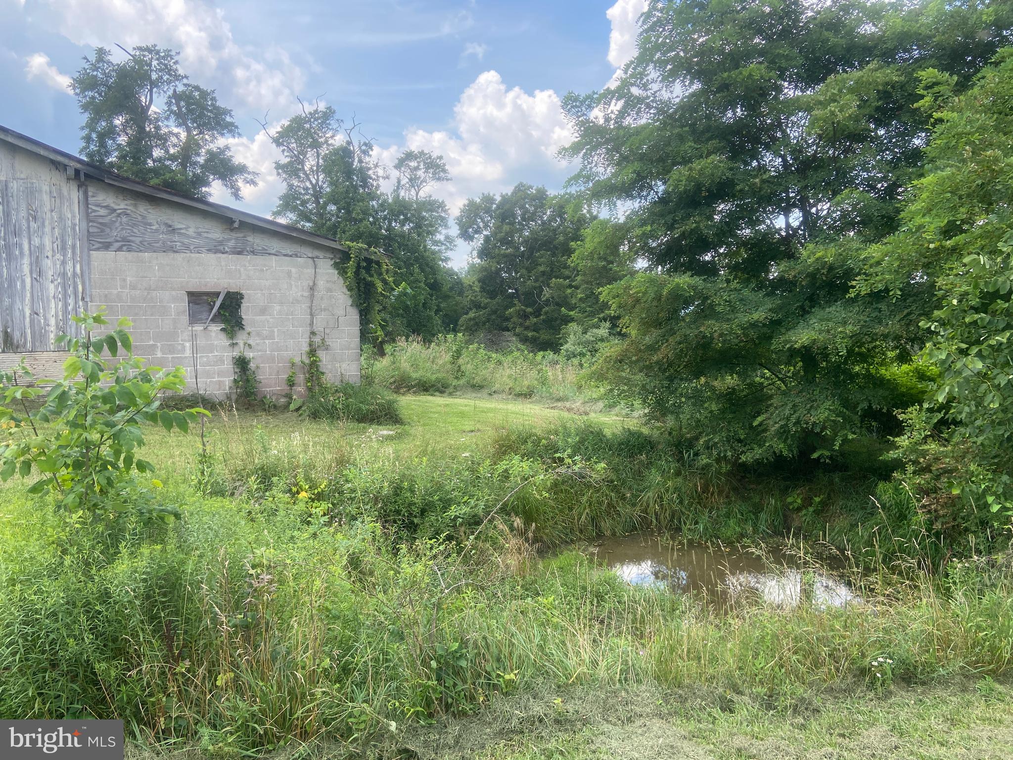 21205 Long Mountain Road Southwest Westernport, MD 21562 - Photo 101 of 142