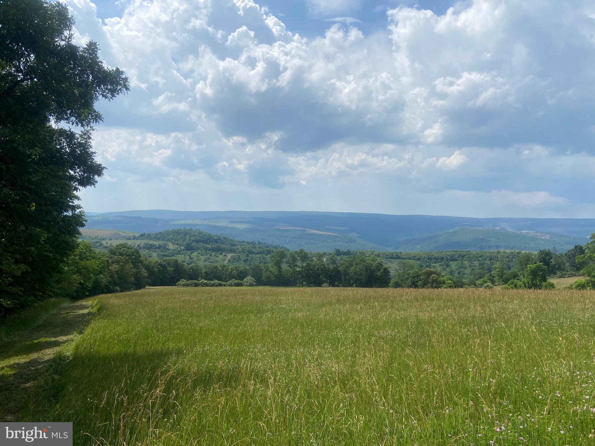 21205 Long Mountain Road Southwest Westernport, MD 21562 - Photo 105 of 142