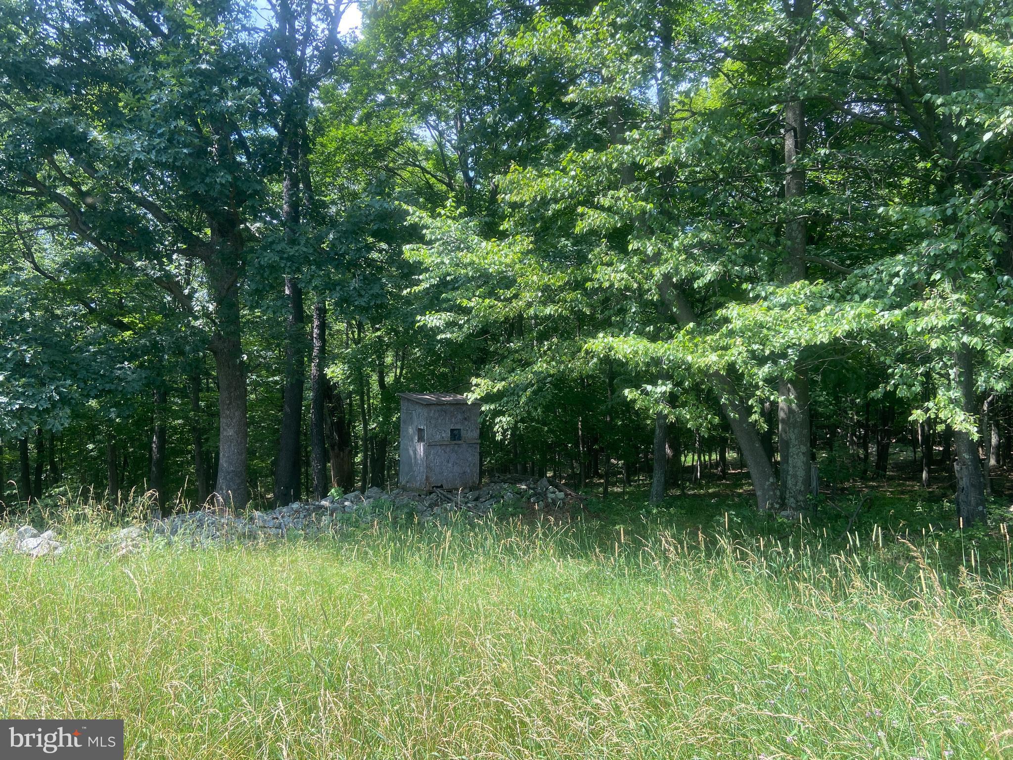 21205 Long Mountain Road Southwest Westernport, MD 21562 - Photo 106 of 142 Hunting blind
