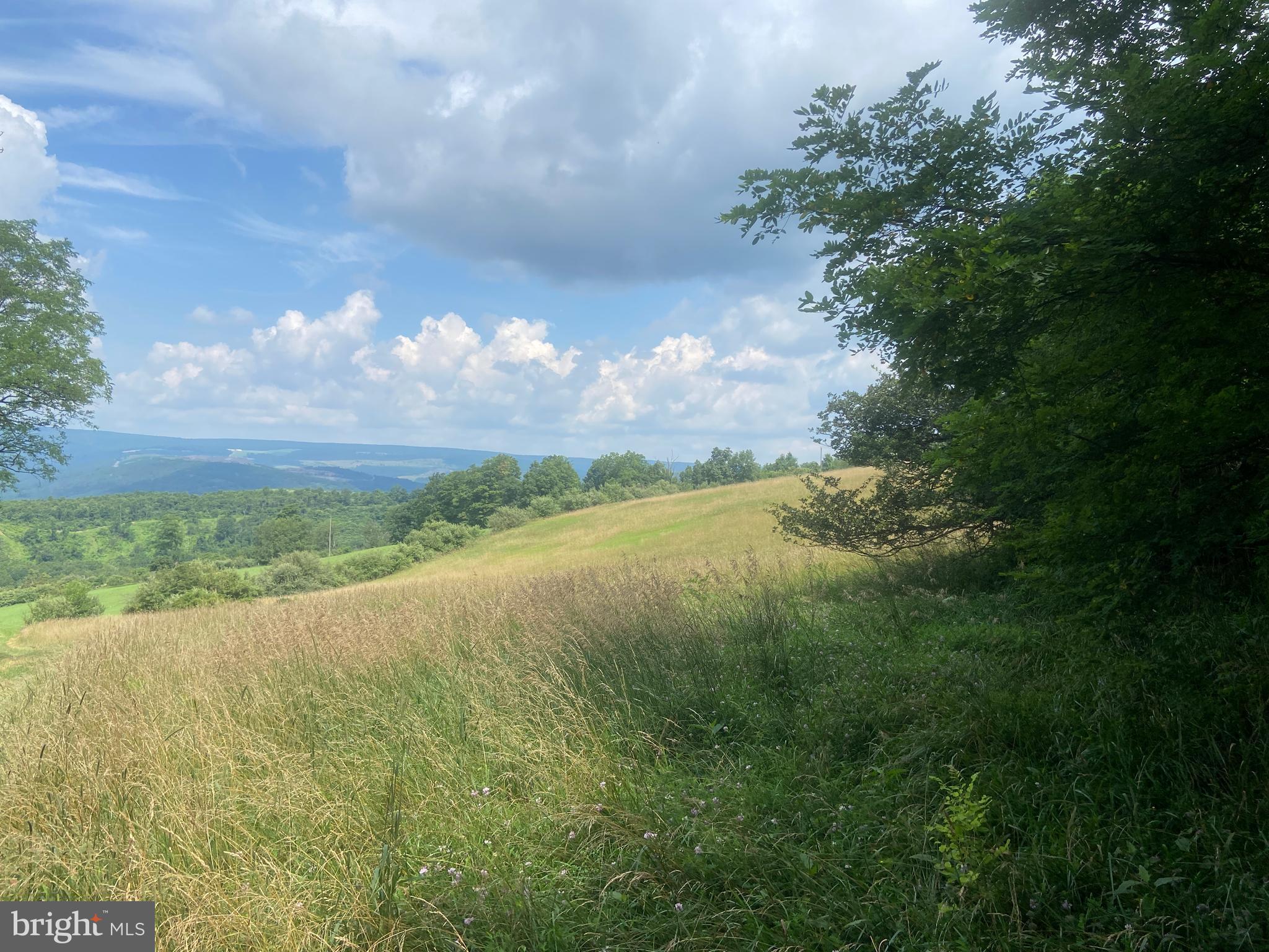 21205 Long Mountain Road Southwest Westernport, MD 21562 - Photo 108 of 142