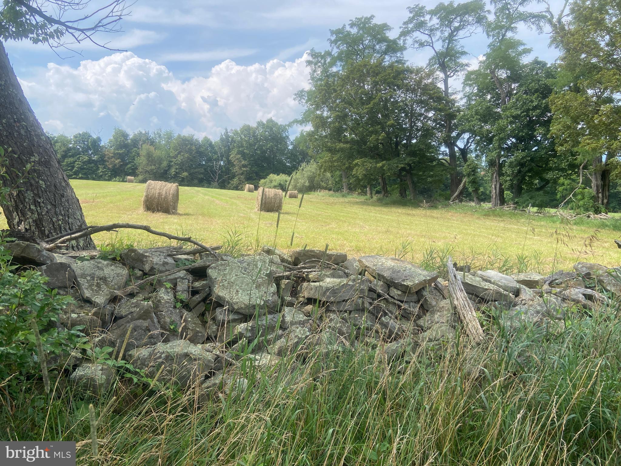 21205 Long Mountain Road Southwest Westernport, MD 21562 - Photo 109 of 142