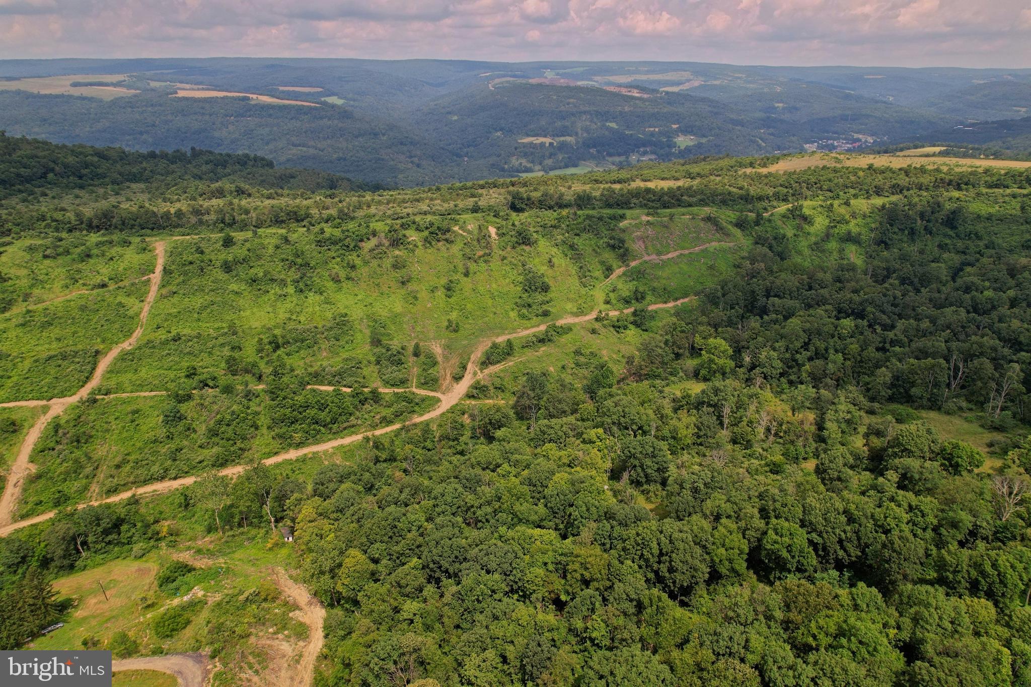 21205 Long Mountain Road Southwest Westernport, MD 21562 - Photo 112 of 142 Logged area in spring of 2025