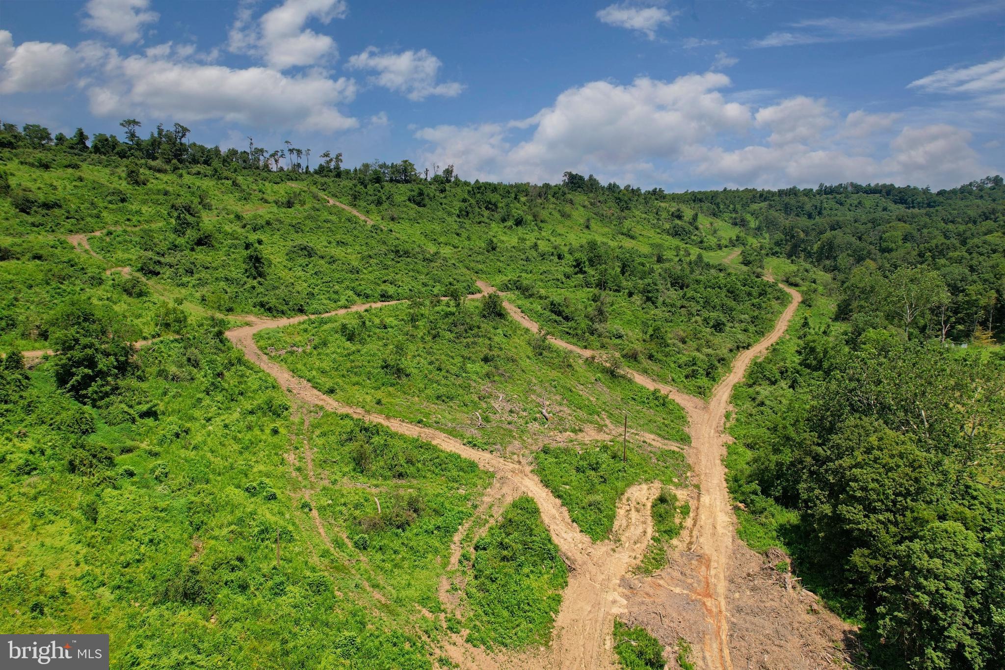 21205 Long Mountain Road Southwest Westernport, MD 21562 - Photo 114 of 142