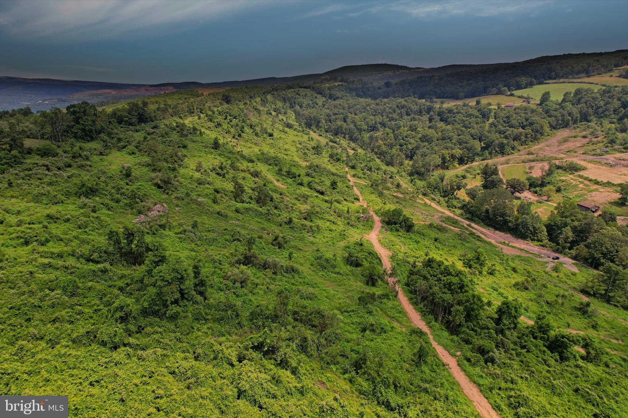 21205 Long Mountain Road Southwest Westernport, MD 21562 - Photo 115 of 142 Logged area in bottom right is the neighbor & ROW