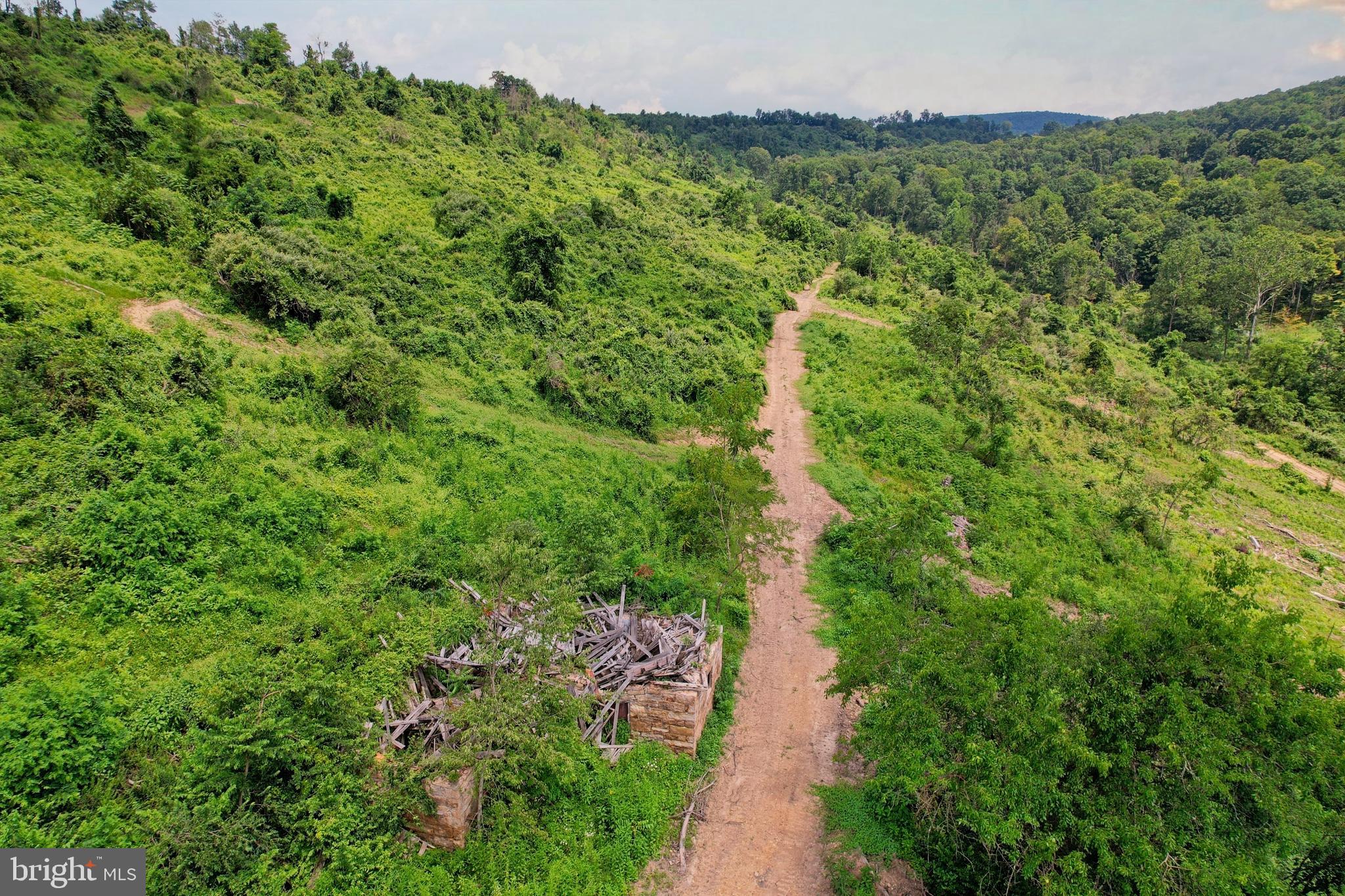 21205 Long Mountain Road Southwest Westernport, MD 21562 - Photo 118 of 142