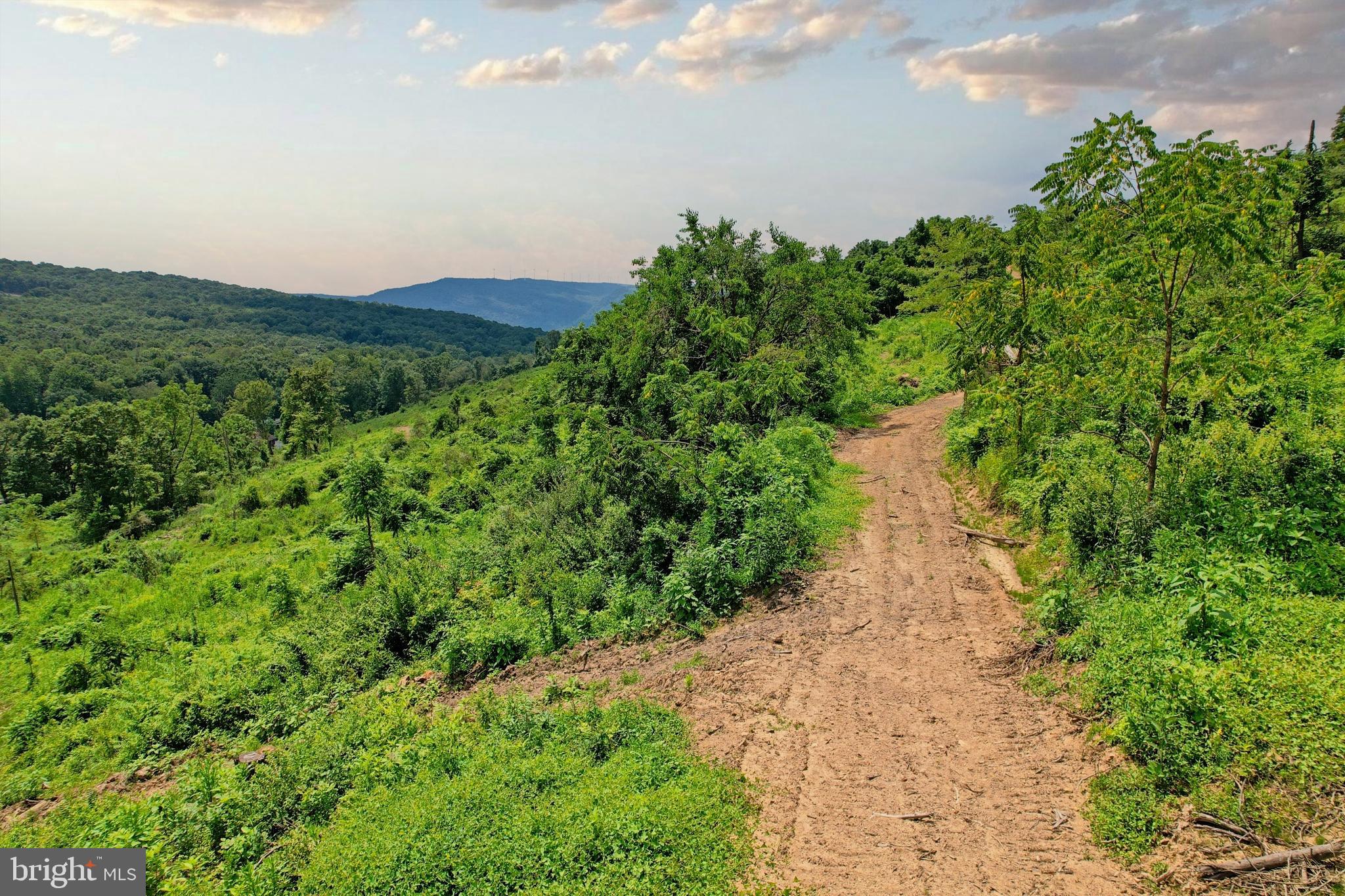 21205 Long Mountain Road Southwest Westernport, MD 21562 - Photo 120 of 142
