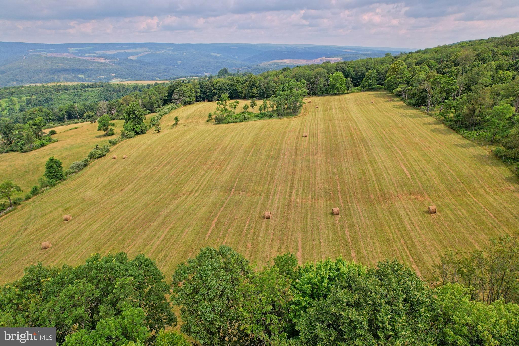 21205 Long Mountain Road Southwest Westernport, MD 21562 - Photo 12 of 142
