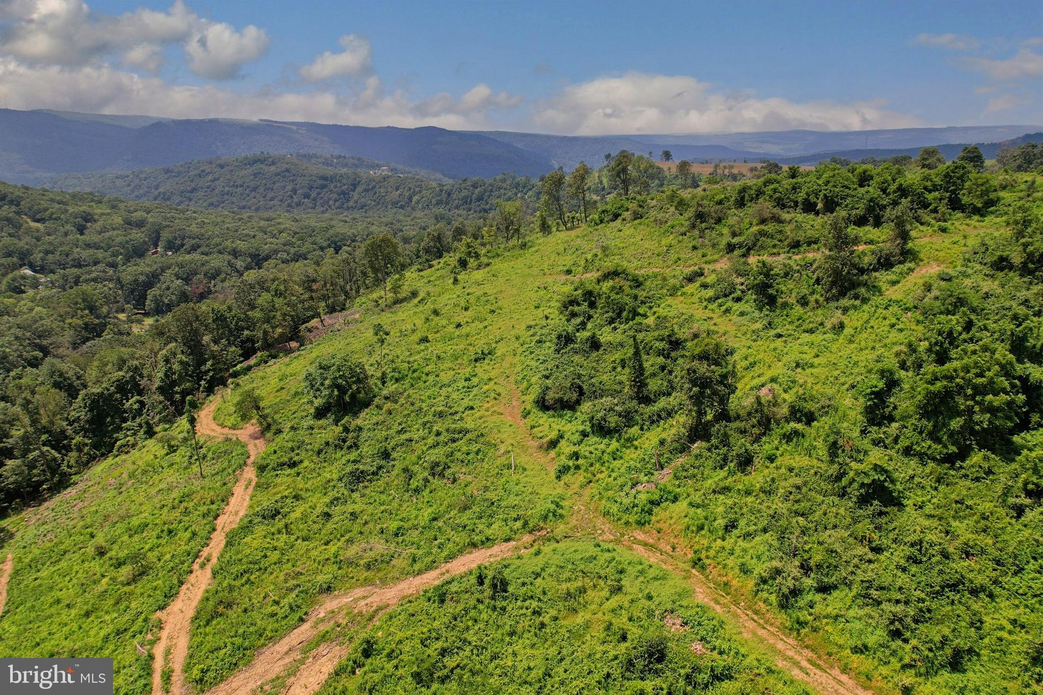 21205 Long Mountain Road Southwest Westernport, MD 21562 - Photo 123 of 142
