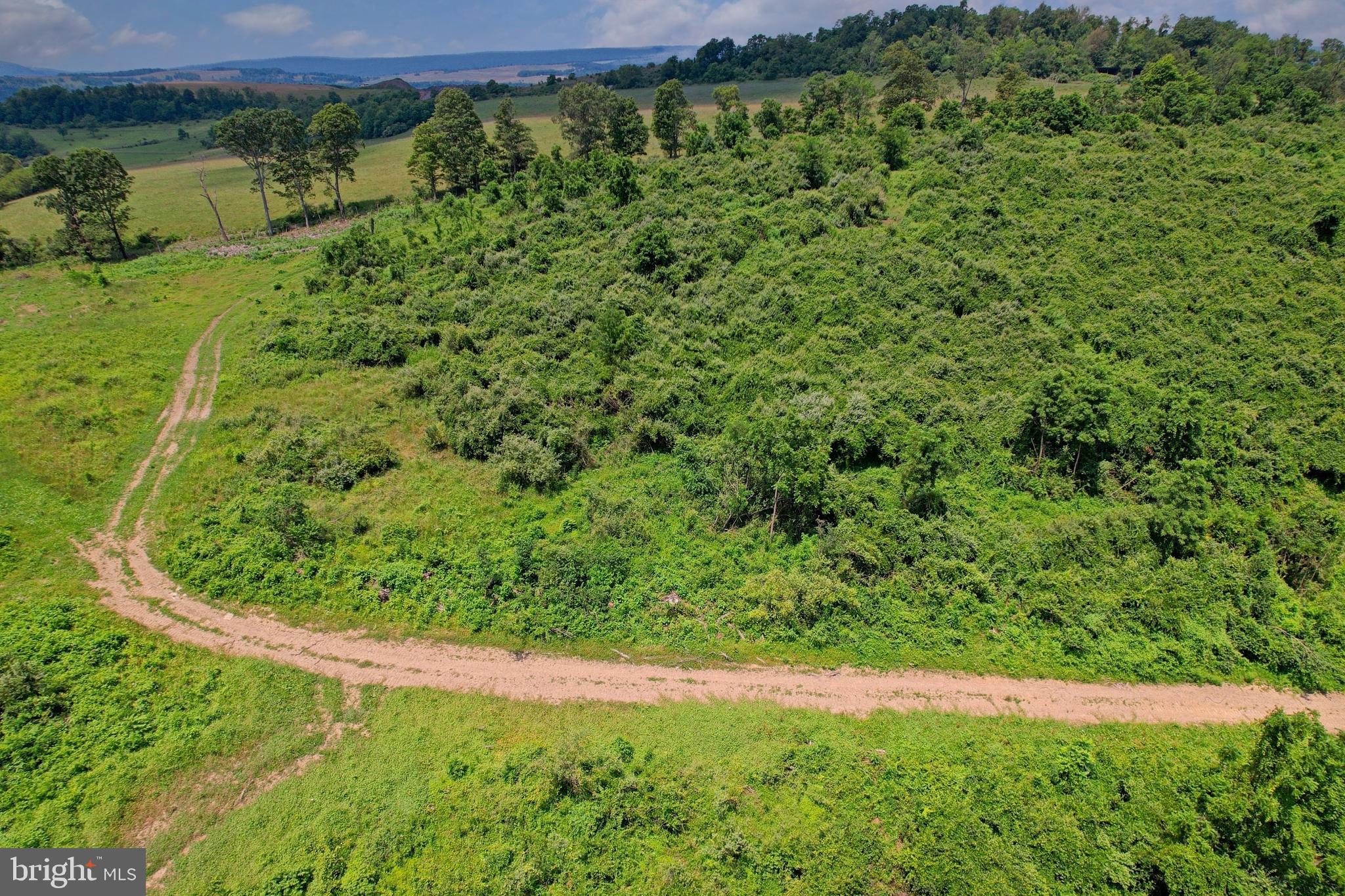21205 Long Mountain Road Southwest Westernport, MD 21562 - Photo 125 of 142 Property boundary is at the fence line.