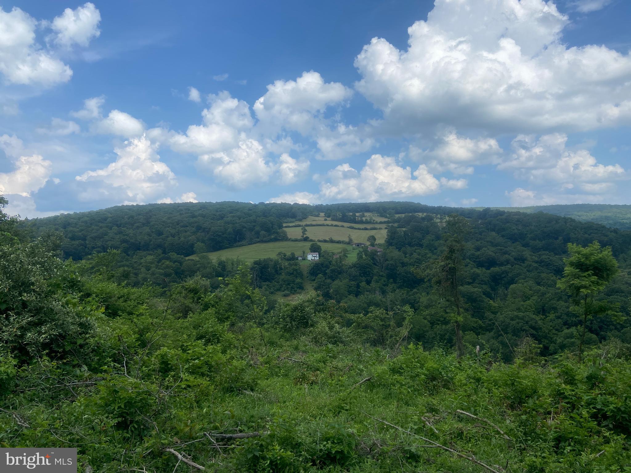 21205 Long Mountain Road Southwest Westernport, MD 21562 - Photo 128 of 142 View of farmhouse/hay fields from other ridge