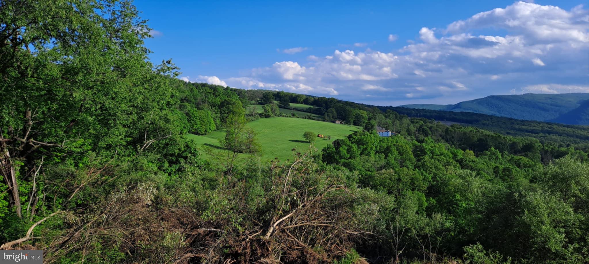 21205 Long Mountain Road Southwest Westernport, MD 21562 - Photo 129 of 142