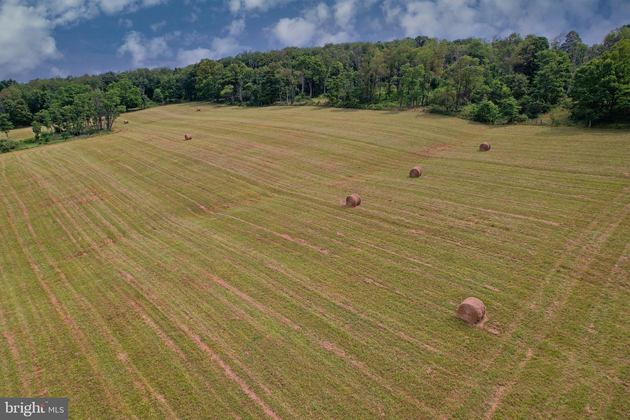 21205 Long Mountain Road Southwest Westernport, MD 21562 - Photo 13 of 142