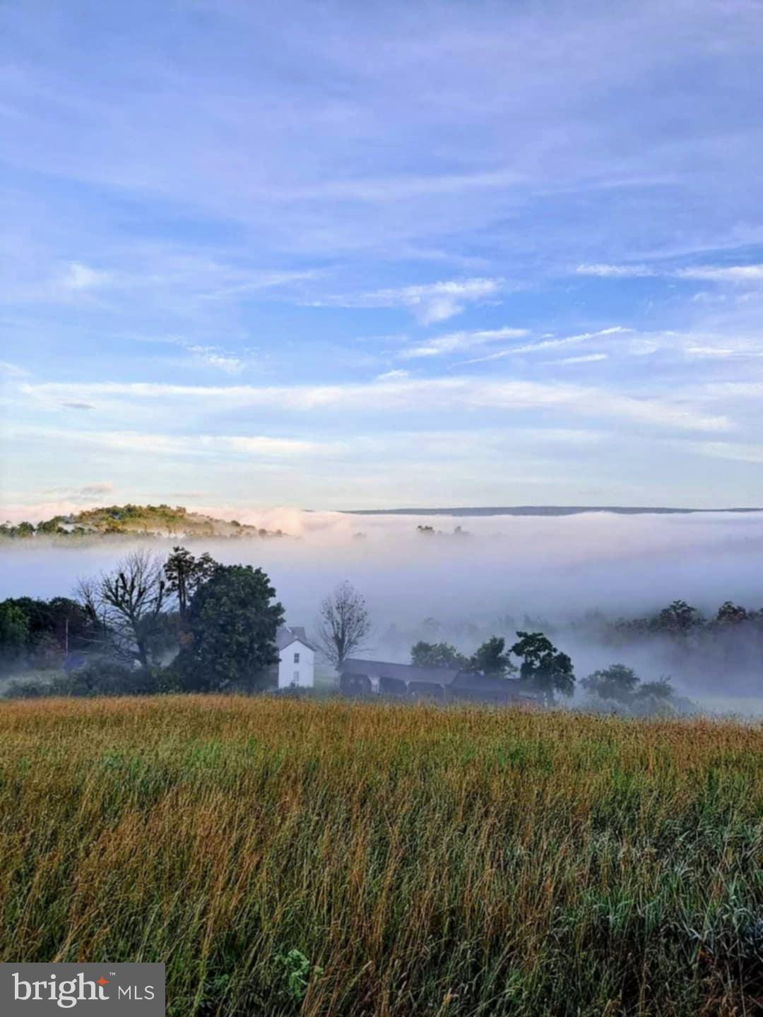 21205 Long Mountain Road Southwest Westernport, MD 21562 - Photo 131 of 142