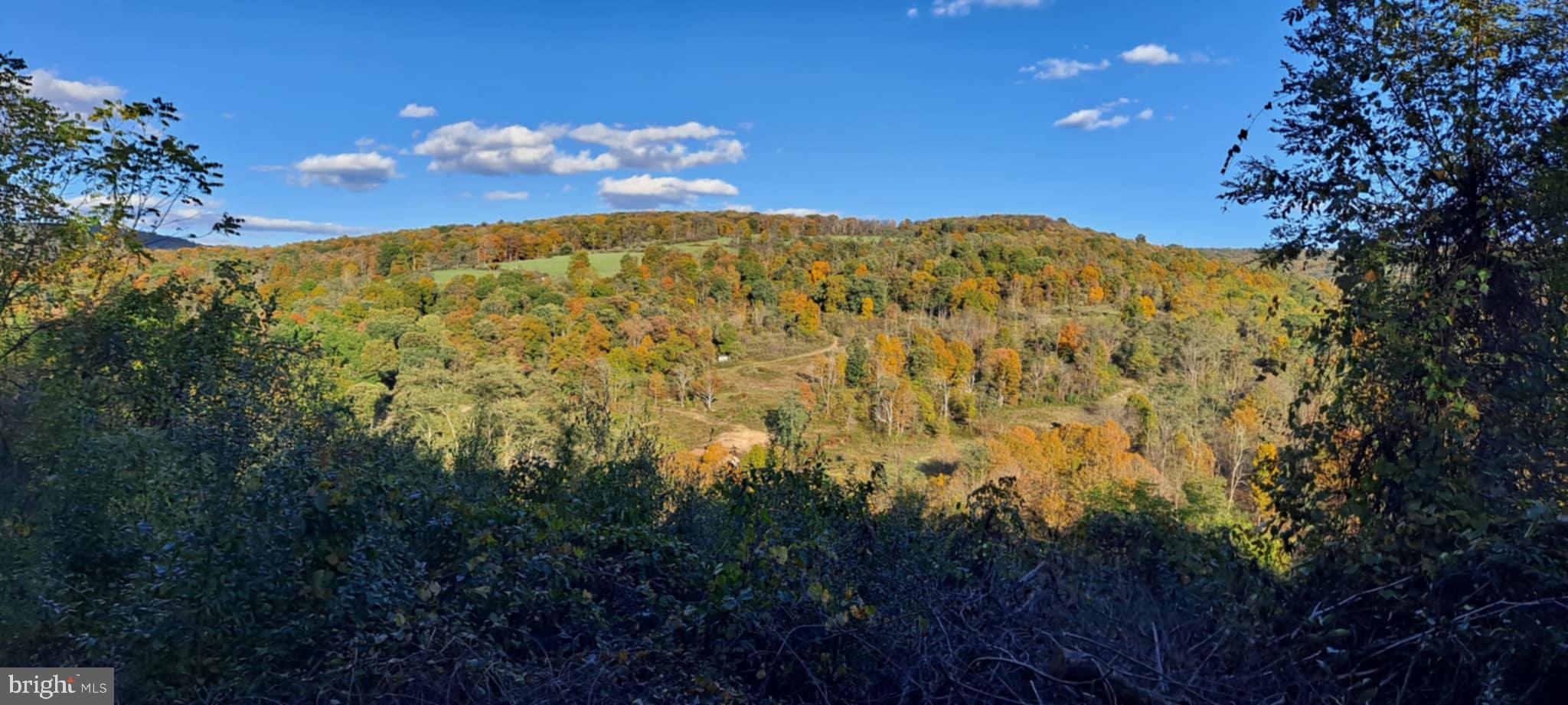 21205 Long Mountain Road Southwest Westernport, MD 21562 - Photo 134 of 142