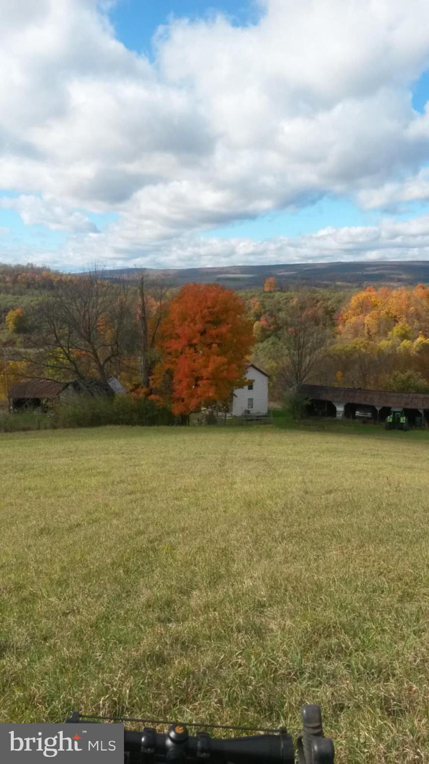 21205 Long Mountain Road Southwest Westernport, MD 21562 - Photo 135 of 142