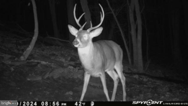 21205 Long Mountain Road Southwest Westernport, MD 21562 - Photo 139 of 142