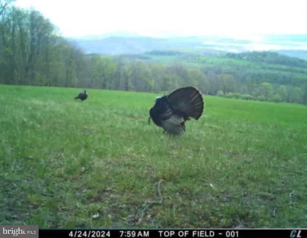 $780,000 | 21205 Long Mountain Road Southwest, Westernport, MD 21562